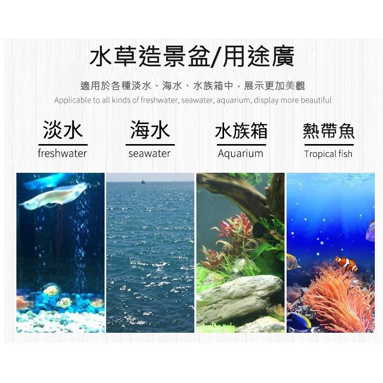 玻璃水草培育杯 水草杯 景觀杯 水草造景盆 水族造景 魚缸裝飾 飼料杯 玻璃杯-細節圖5