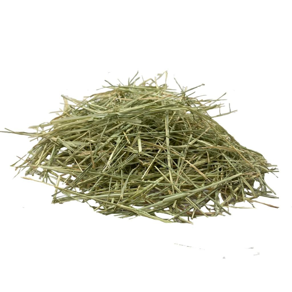 美國帶籽綠百慕達 兔子牧草 兔子主食 天竺鼠 龍貓 牧草 天然 高纖低蛋白 無篩 草食小動物 500g-細節圖3