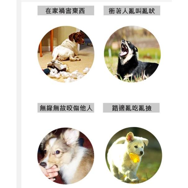 狗狗矽膠防咬口罩鴨嘴套 防咬防叫 防舔食 狗口罩 嘴套 中小型犬-細節圖4