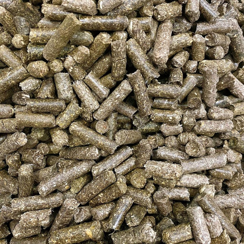 提摩西草粒 磨牙飼料 兔飼料 兔子點心 鼠飼料 寵物零嘴 小動物 天竺鼠 兔子-細節圖2