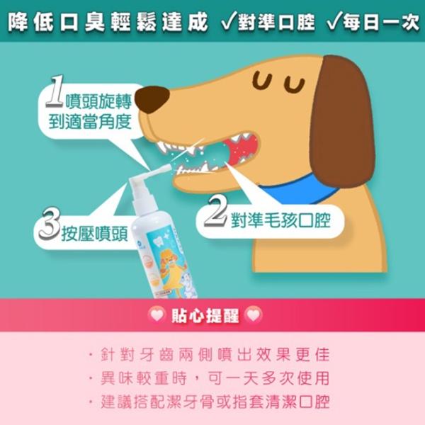 ODOUT臭味滾 清新口腔除臭噴霧 100ml 寵物 犬貓用 寵物口腔噴劑 口氣清新-細節圖5