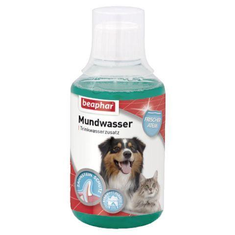 打不過就要加入他啊系列~樂透Beaphar 潔牙系列 潔牙水 清新噴霧 口腔清新 潔牙凝膠 犬貓用 口腔護理 刷牙-細節圖4