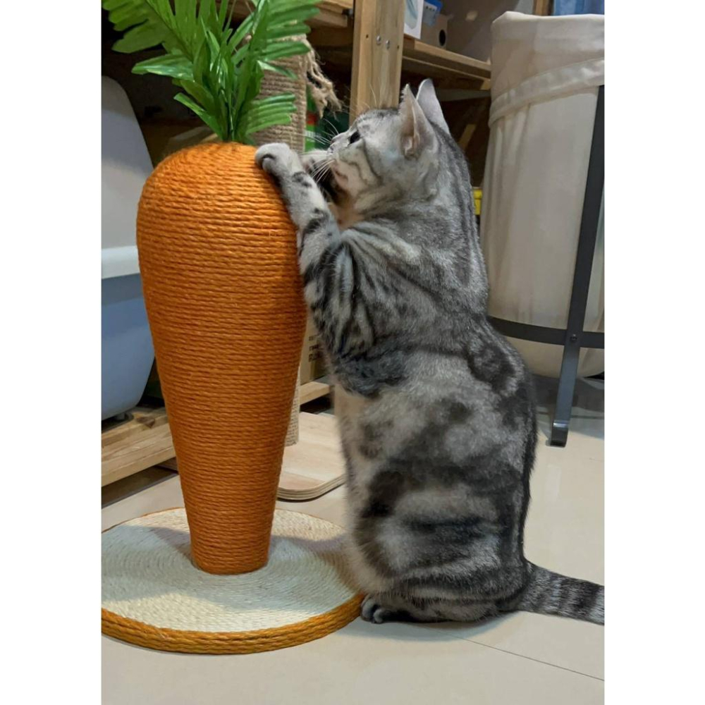 紅蘿蔔貓抓柱 造型貓抓柱 劍麻貓抓板 貓抓墊 貓抓板 貓爬架 磨爪-細節圖7