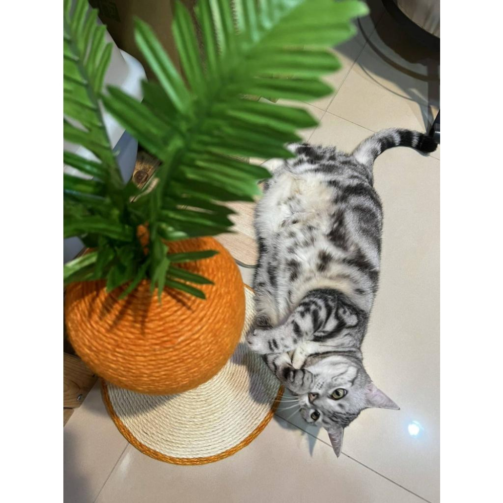 紅蘿蔔貓抓柱 造型貓抓柱 劍麻貓抓板 貓抓墊 貓抓板 貓爬架 磨爪-細節圖8