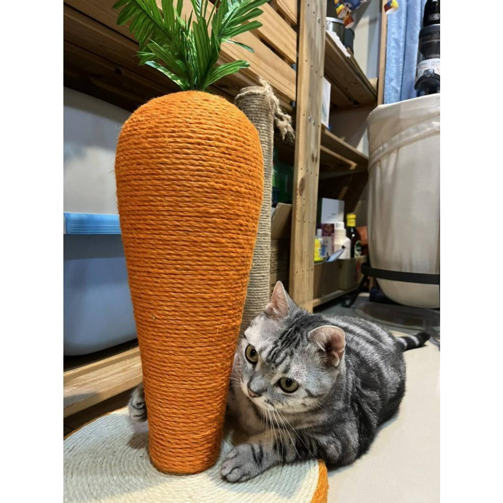 紅蘿蔔貓抓柱 造型貓抓柱 劍麻貓抓板 貓抓墊 貓抓板 貓爬架 磨爪-細節圖9