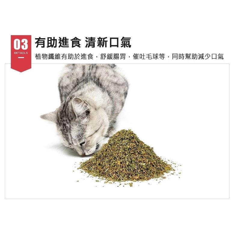 試管裝 貓薄荷葉粉 貓薄荷莖粉 木天蓼粉 蟲癭果粉 貓零食 天然 貓點心 貓化毛 貓草-細節圖4