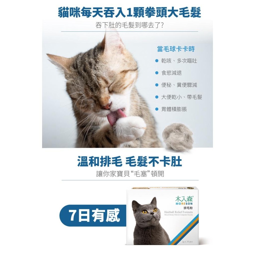 MORESON木入森 貓咪排毛粉 化毛 保健 貓草 鮮蝦 起司-細節圖2