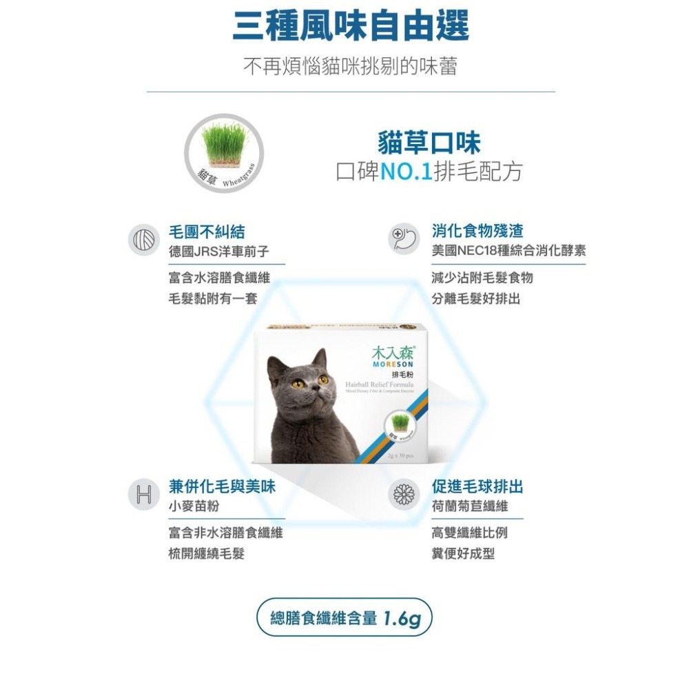MORESON木入森 貓咪排毛粉 化毛 保健 貓草 鮮蝦 起司-細節圖3
