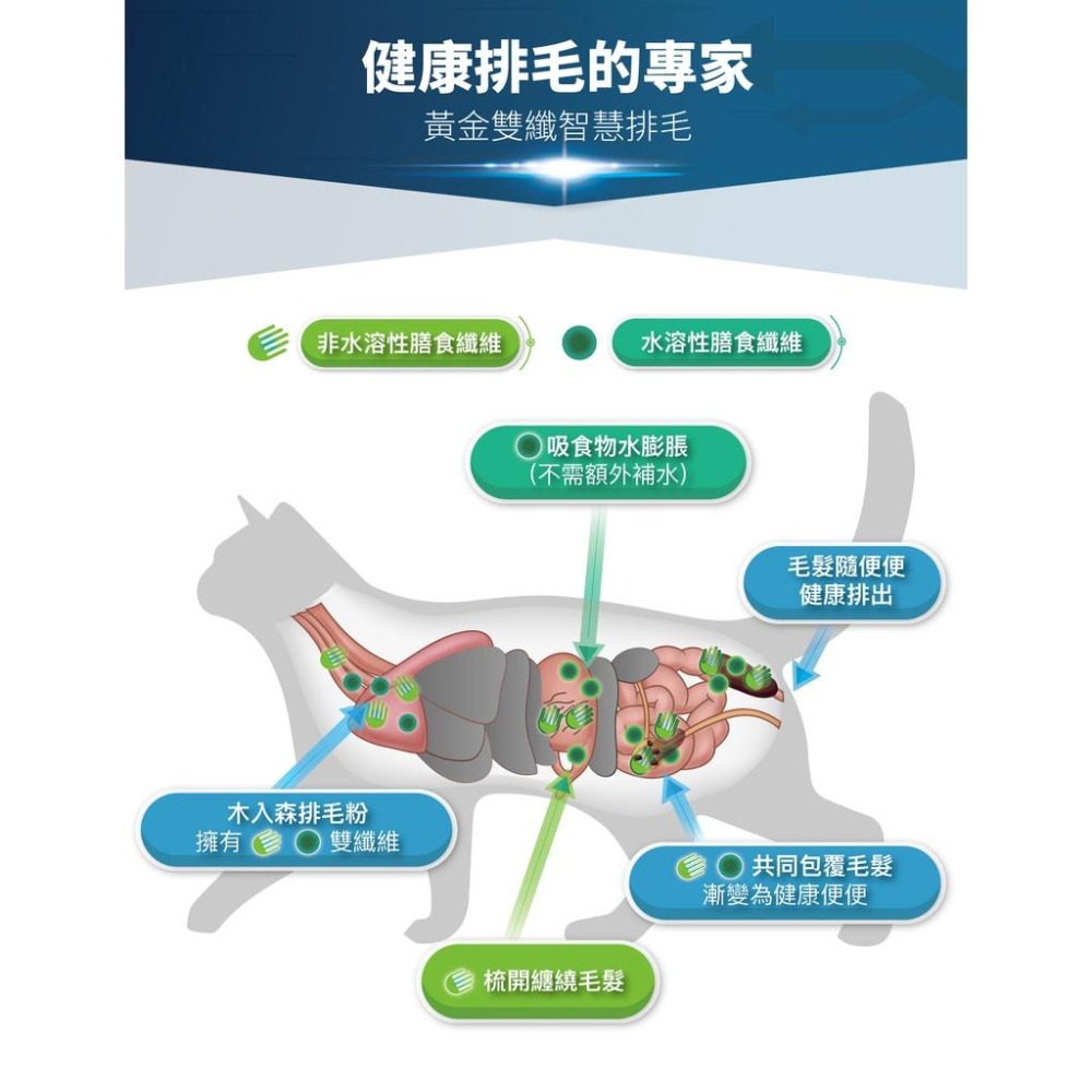 MORESON木入森 貓咪排毛粉 化毛 保健 貓草 鮮蝦 起司-細節圖7