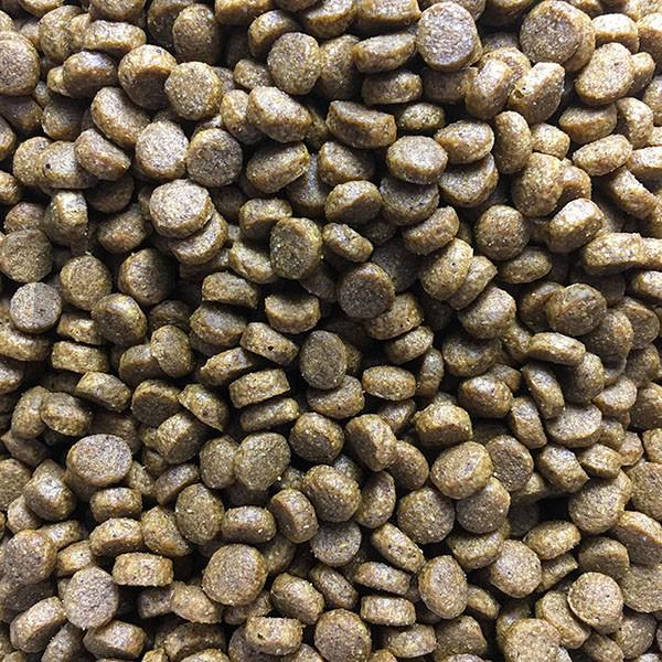 MIT愛歹丸 芭絲特 幼母犬系列 羊肉+雞肉 乾狗糧 幼犬 懷孕母犬 狗飼料 飼料 狗 犬-細節圖2