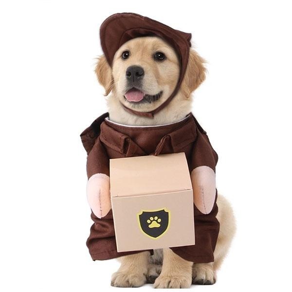 萬聖節搗蛋一嚇~寵物搞怪衣 變身裝 風流醫生 牛仔警長 俏護士 皇上駕到 狗衣 貓衣 兩腳衣 萬聖節 寵物造型服裝-細節圖3