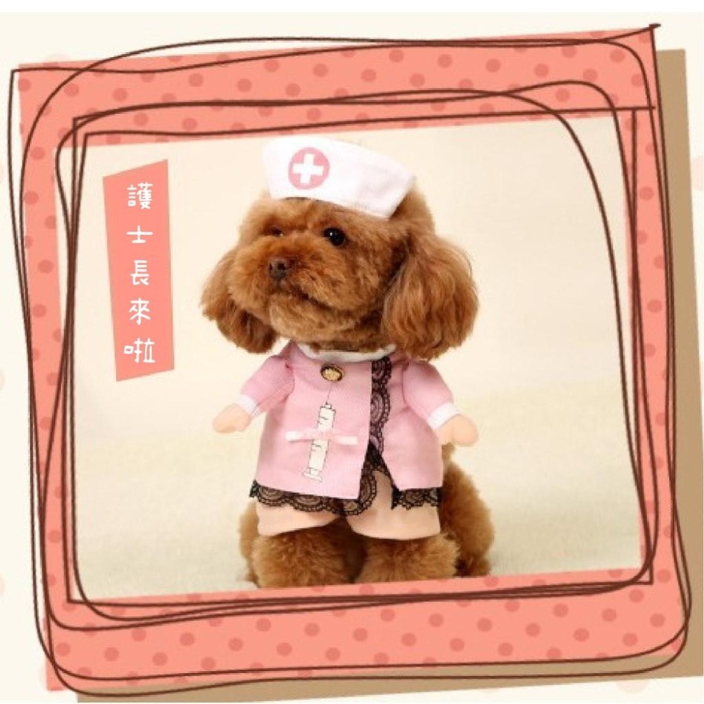 萬聖節搗蛋一嚇~寵物搞怪衣 變身裝 風流醫生 牛仔警長 俏護士 皇上駕到 狗衣 貓衣 兩腳衣 萬聖節 寵物造型服裝-細節圖5