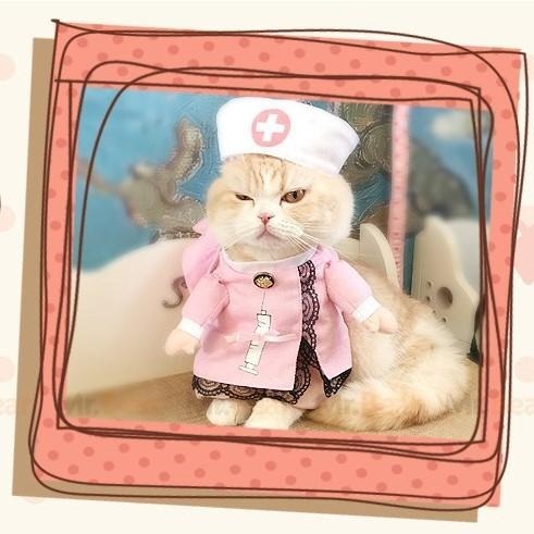 萬聖節搗蛋一嚇~寵物搞怪衣 變身裝 風流醫生 牛仔警長 俏護士 皇上駕到 狗衣 貓衣 兩腳衣 萬聖節 寵物造型服裝-細節圖6