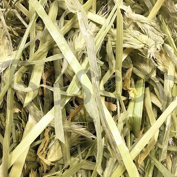 澳洲甜燕麥 兔子牧草 兔子主食 天竺鼠 龍貓 牧草 天然 高纖磨牙 無篩-細節圖2