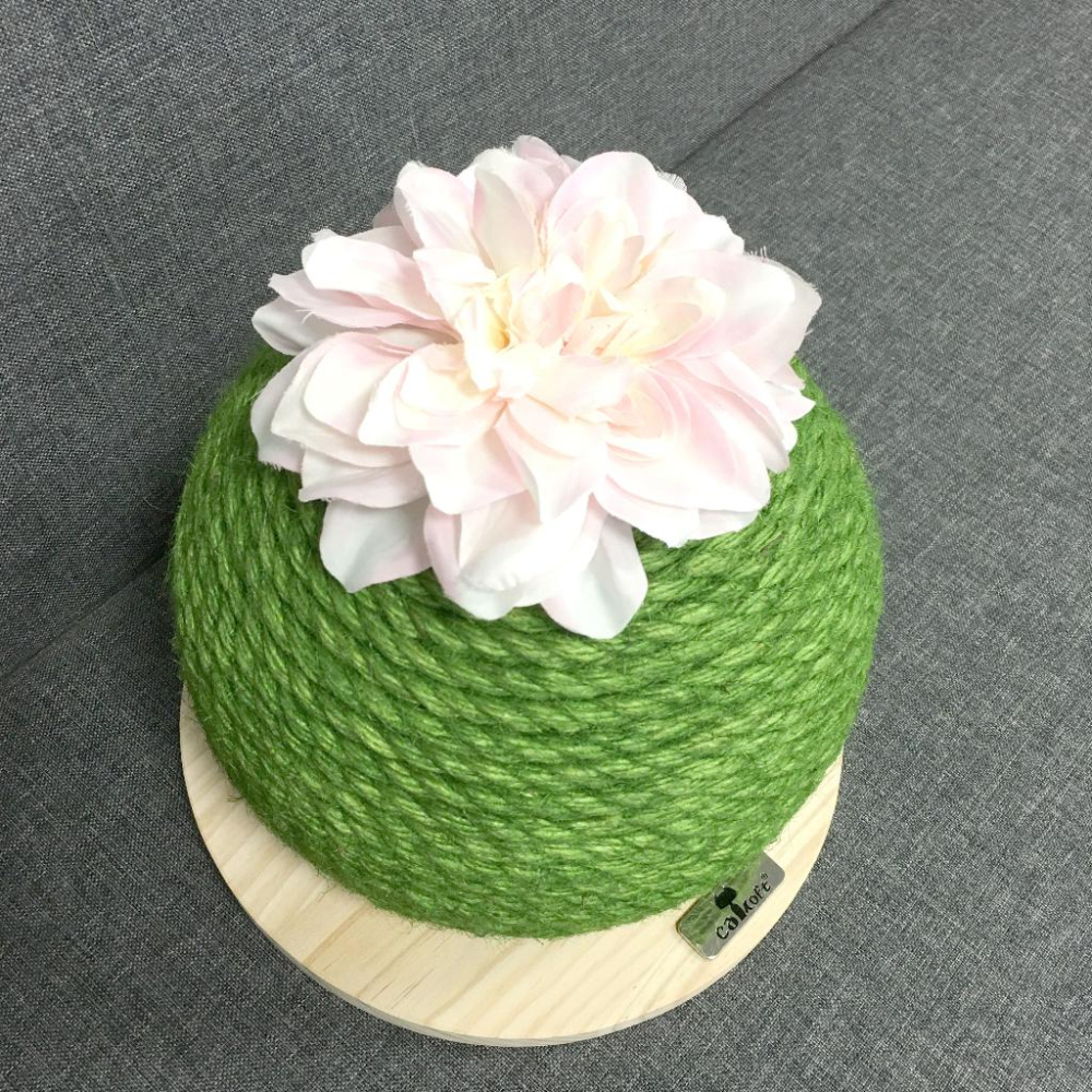 貓咪仙人掌貓抓球 貓抓板 劍麻球 磨爪 貓咪玩具 寵物玩具 寵物用品-細節圖2