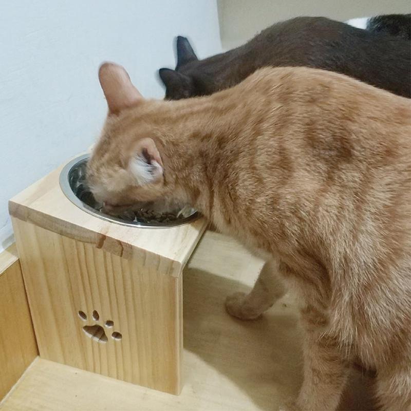【NG特價專區】純手工製作 松木寵物碗架 貓碗架 寵物餐桌 不繡鋼碗 餐桌 貓碗 狗碗架-細節圖2