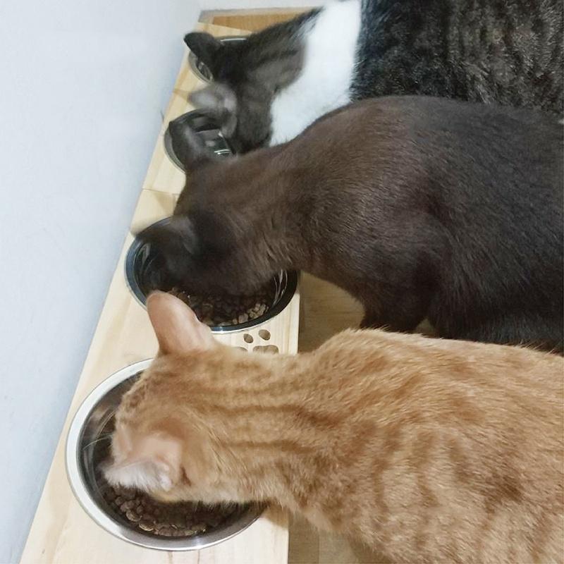 【NG特價專區】純手工製作 松木寵物碗架 貓碗架 寵物餐桌 不繡鋼碗 餐桌 貓碗 狗碗架-細節圖3