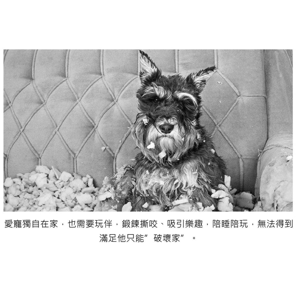 衣服被咬爆兩件~棉繩游泳圈 泳圈 耐咬狗玩具 發聲玩具 寵物玩具 填充玩具 磨牙 抗憂鬱-細節圖3