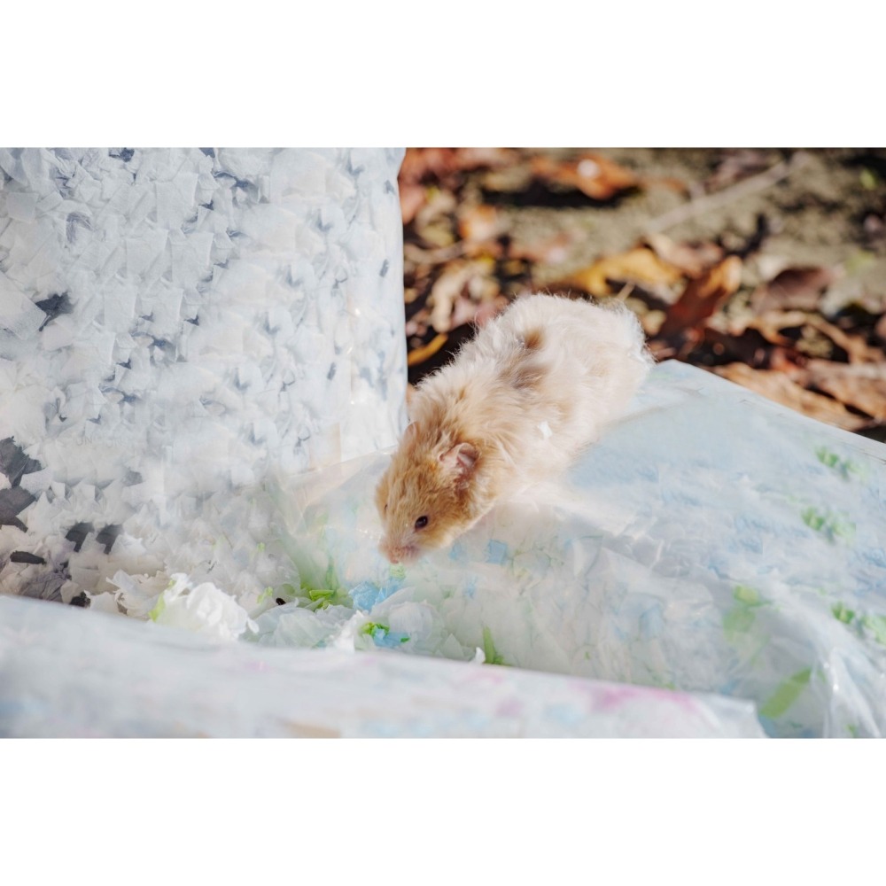 紙鼠於妮紙棉 倉鼠紙棉 倉鼠墊料 倉鼠墊材 倉鼠造景 紙墊料 棉紙 墊料 墊材 保暖 倉鼠 老鼠-細節圖2