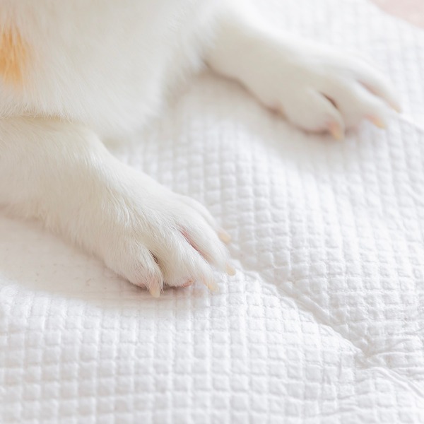 KUKU 寵物尿布墊 速吸 防漏 尿布 寵物用品 貓 狗 尿墊-細節圖5