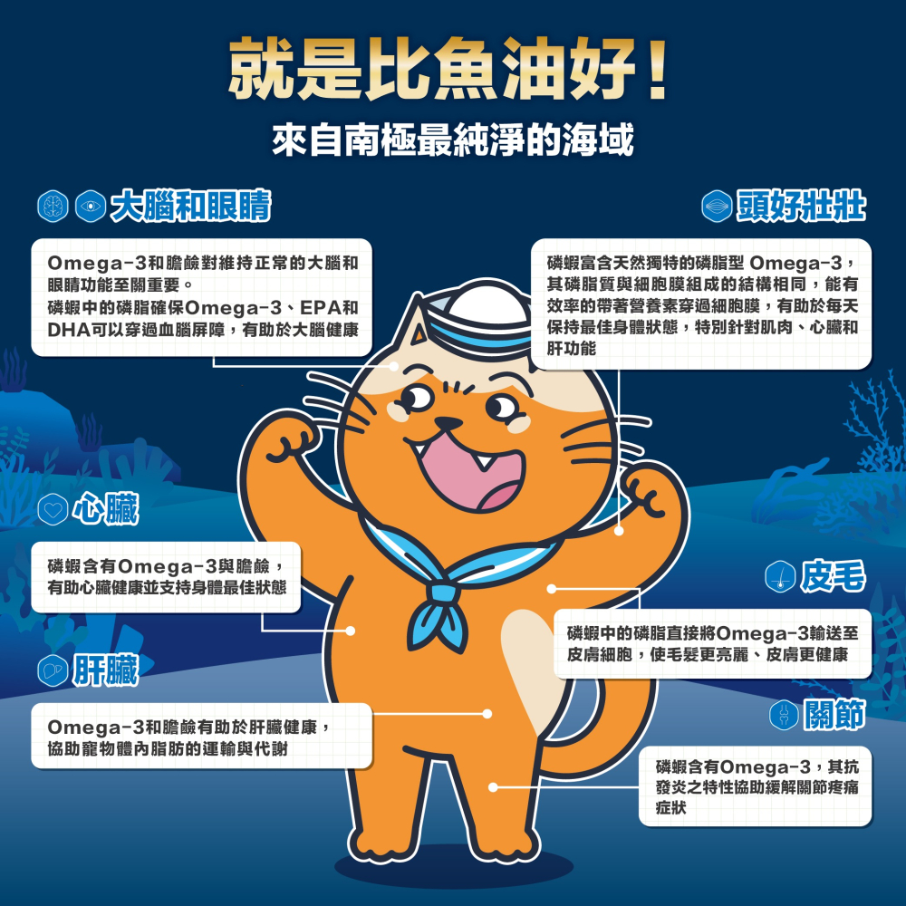 肉球世界 搖搖雞肉凍乾無穀貓糧 AK南極磷蝦 加拿大無穀糧  雞肉 貓飼料 貓糧 凍乾 1KG 2.5KG-細節圖4