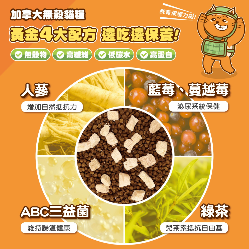 肉球世界 搖搖雞肉凍乾無穀貓糧 AK南極磷蝦 加拿大無穀糧  雞肉 貓飼料 貓糧 凍乾 1KG 2.5KG-細節圖5