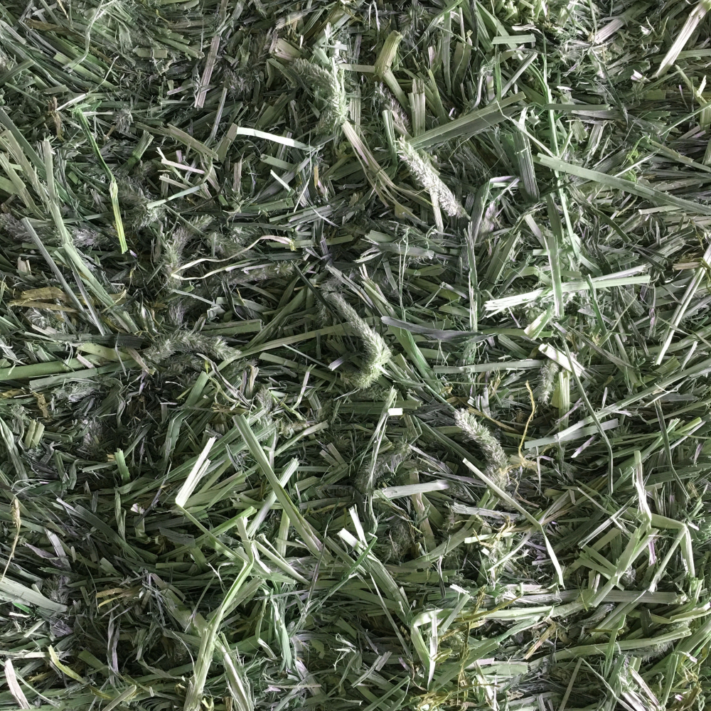 芭絲特提摩西 一割 二割 三割 提摩西 美國 牧草 兔子飼料 成兔主食 天竺鼠-細節圖2