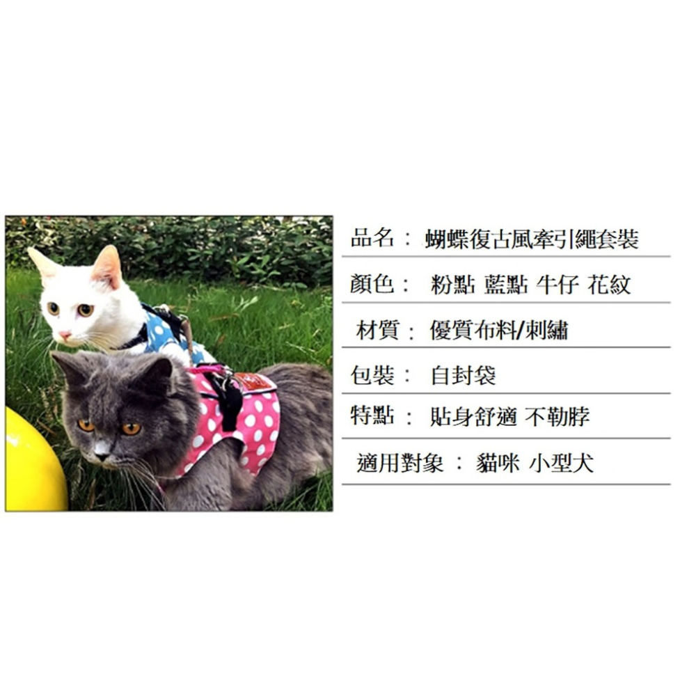主子穿上之後開始厭世~蝴蝶復古風牽引繩套裝 背心式胸背牽引繩 牽引繩 貓繩 遛貓繩 貓繩 貓衣服 貓衣服 胸背衣 外出-細節圖6