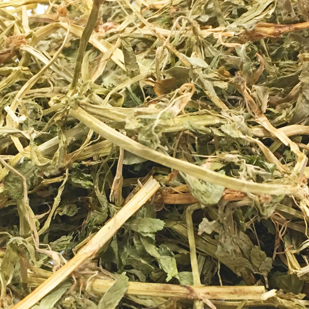 紫花苜蓿草 400g 兔子牧草 新鮮 天然 兔子主食 兔飼料 寵物 天竺鼠 龍貓 小動物 無過篩-細節圖2