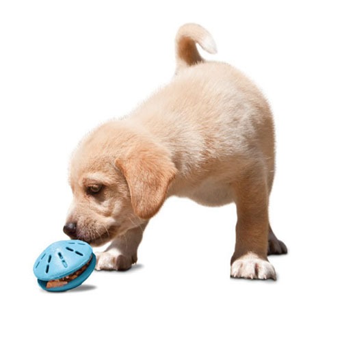 PetSafe訓練用品&玩具系列 寶貝飛碟 狗玩具 益智玩具 PREMIER普立爾 寵物遊戲 智遊玩具-細節圖2