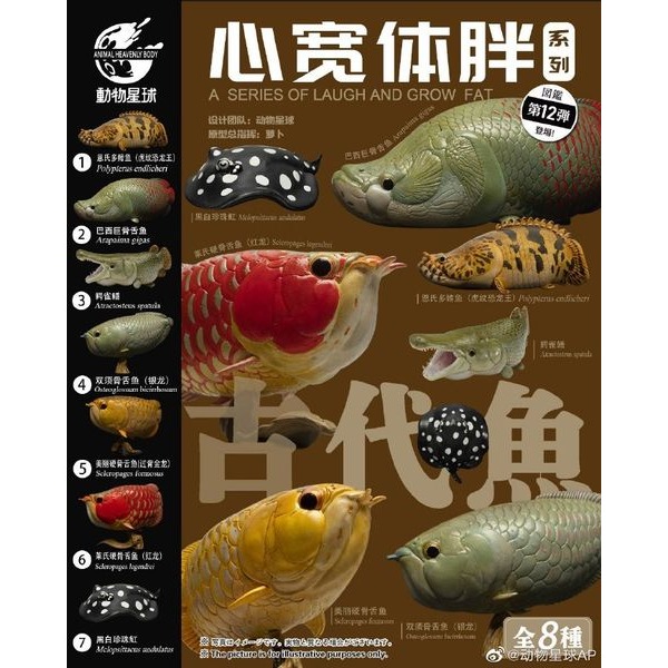 【Sammitoys】動物星球 心寬體胖 第十二彈 古代魚系列 銀龍 雙鬚骨舌魚-細節圖4