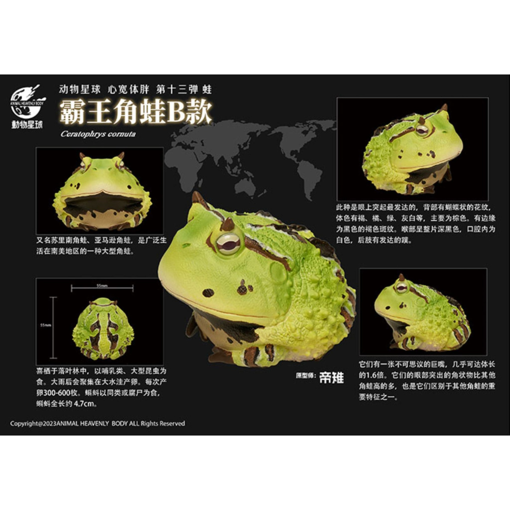 【Sammitoys】動物星球 心寬體胖 第十三彈 青蛙系列 霸王角蛙B款-細節圖3