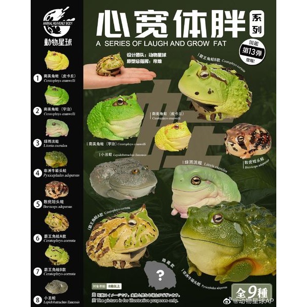 【Sammitoys】動物星球 心寬體胖 第十三彈 青蛙系列 霸王角蛙B款-細節圖5