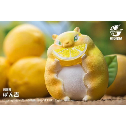 【Sammitoys】動物星球 x ぽん吉 正版授權 果物精靈 檸檬鼠 有檸檬果香 不挑盒