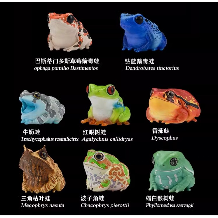 【Sammitoys】預購 動物星球 心寬體胖 第二十彈 青蛙系列 單款 草莓箭毒蛙-細節圖2