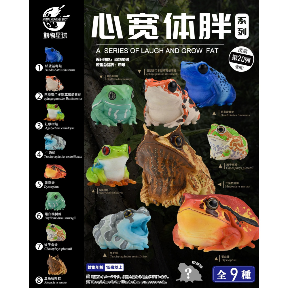 【Sammitoys】預購 動物星球 心寬體胖 第二十彈 青蛙系列 單款 草莓箭毒蛙-細節圖3