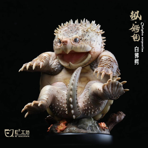 【Sammitoys】預購 E-SQUARE 鱷龜系列第一彈 擬鱷龜 白佛鱷