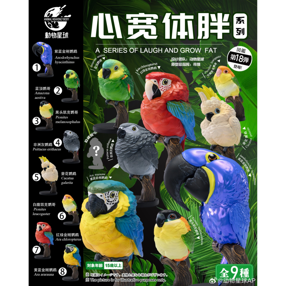 【Sammitoys】現貨 動物星球 心寬體胖 第十八彈 鸚鵡系列 紫藍金剛鸚鵡-細節圖5