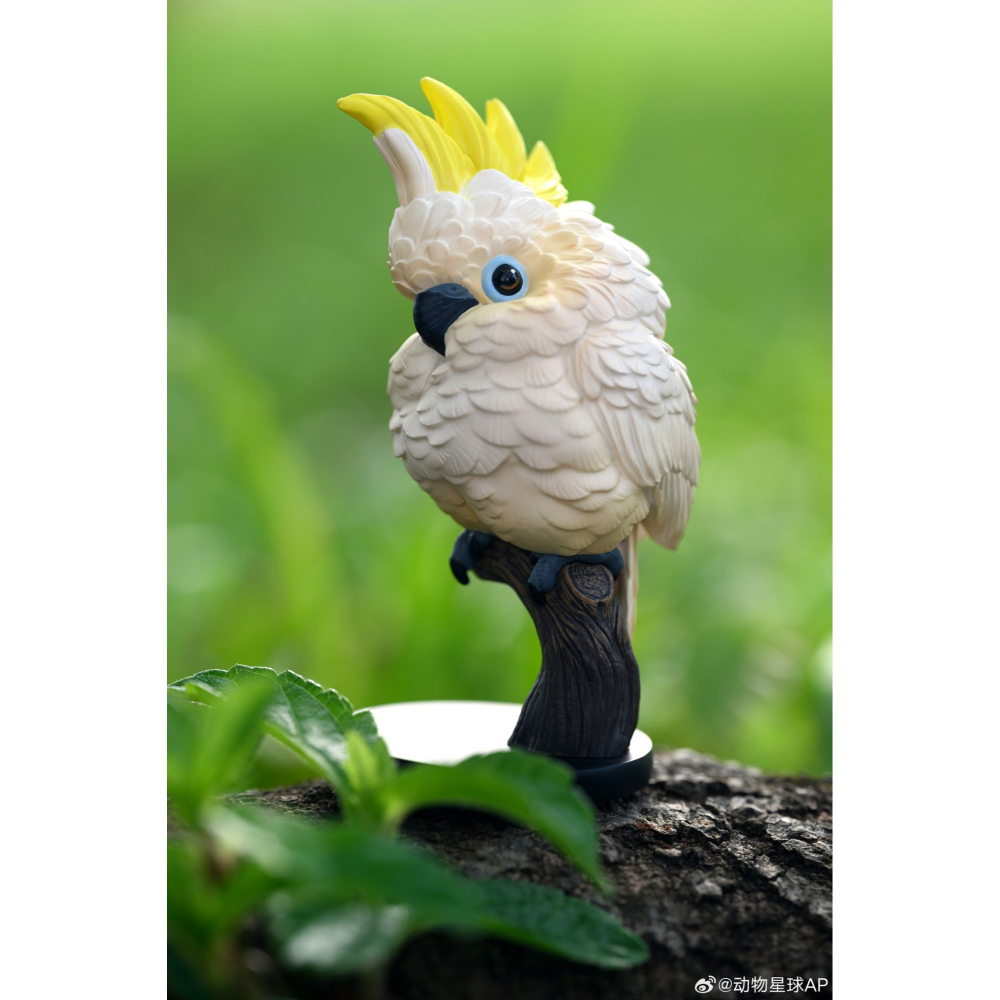 【Sammitoys】現貨 動物星球 心寬體胖 第十八彈 鸚鵡系列 葵花鸚鵡-細節圖3