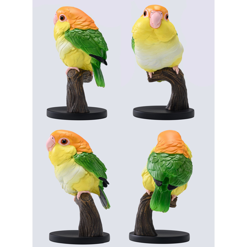 【Sammitoys】現貨 動物星球 心寬體胖 第十八彈 鸚鵡系列 白腹凱克鸚哥-細節圖2