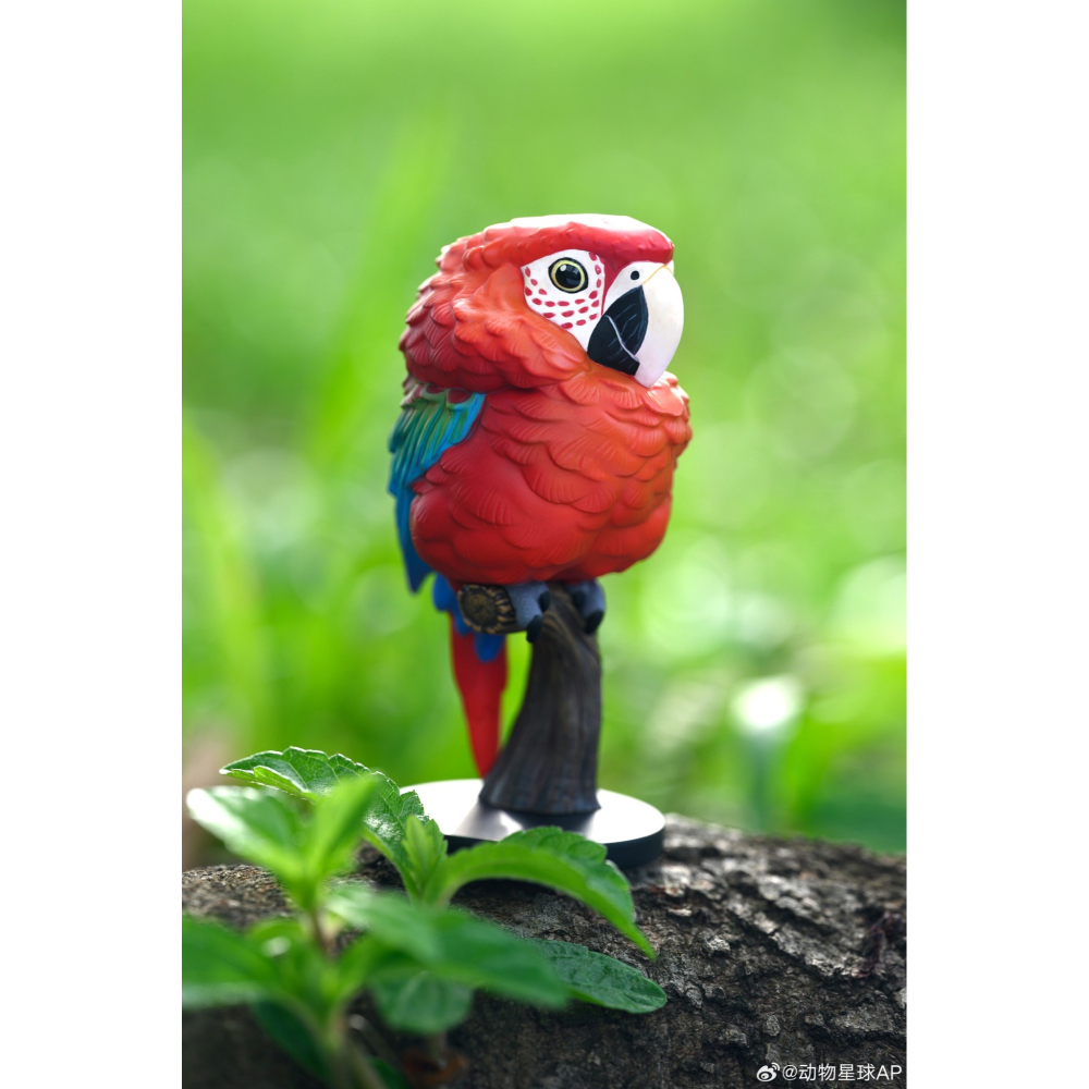 【Sammitoys】現貨 動物星球 心寬體胖 第十八彈 鸚鵡系列 紅綠金剛鸚鵡-細節圖3