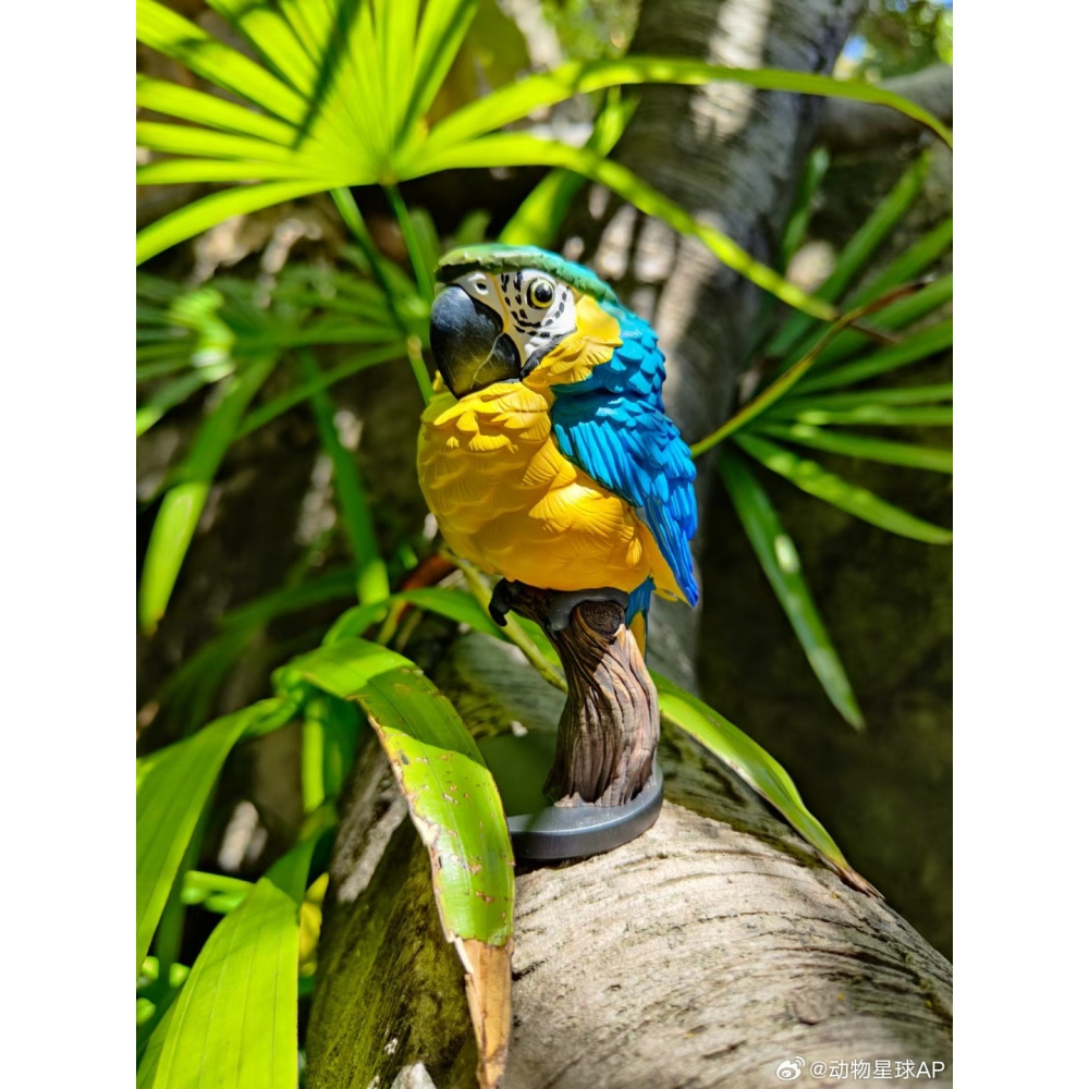 【Sammitoys】現貨 動物星球 心寬體胖 第十八彈 鸚鵡系列 黃藍金剛鸚鵡-細節圖3