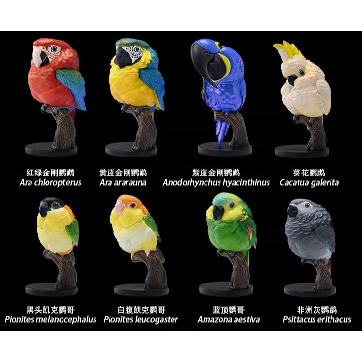 【Sammitoys】現貨 動物星球 心寬體胖 第十八彈 鸚鵡系列 黃藍金剛鸚鵡-細節圖4