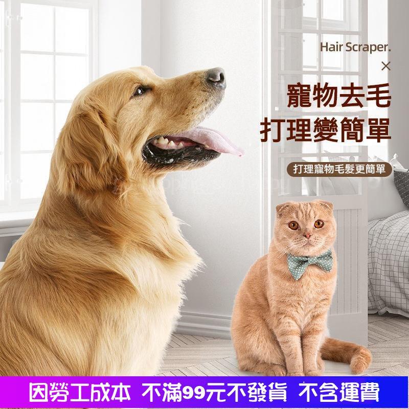 全館免運 寵物除毛神器 雙麵除毛刷 貓毛除毛刷 狗毛除毛刷 除毛 寵物毛髮 重複使用清潔用品 寵物刷毛神器-細節圖6