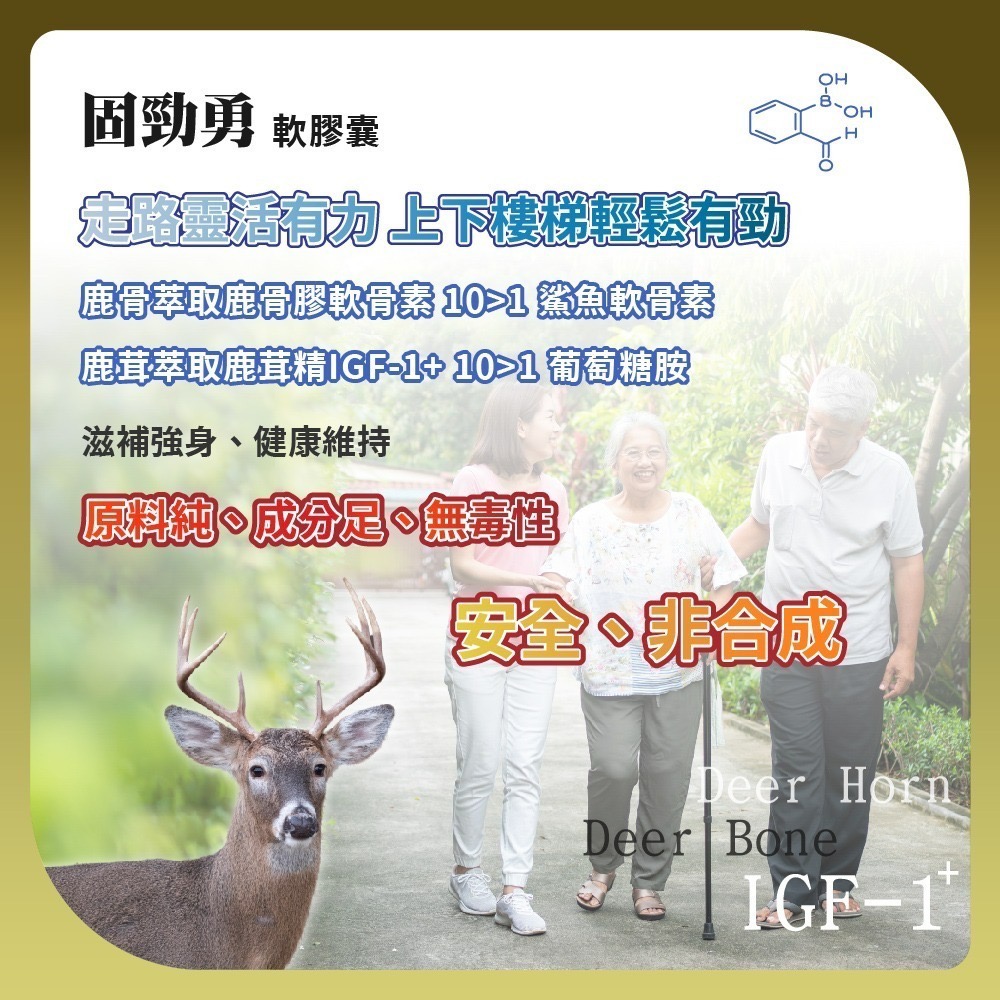 固勁勇軟膠囊 100粒 膠原蛋白 葡萄糖胺 大豆卵磷脂 乳木果油 軟骨素 msm 螯合鈣 勁勇 非變性膠原蛋白-細節圖4