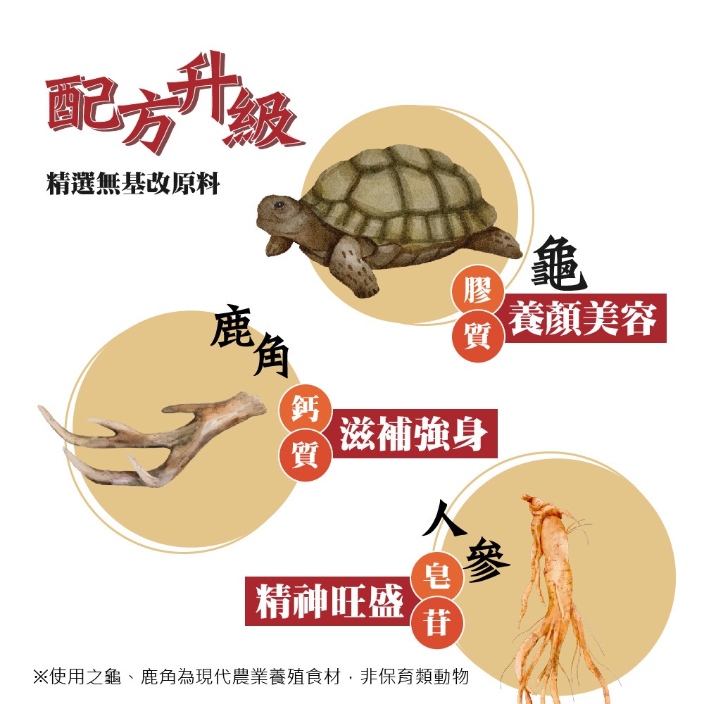 順天本草 帝璽活力膠囊 BCAA升級版 120顆 順天本草帝璽活力膠囊 帝璽活力 帝璽活力膠囊BACC升級版-細節圖5