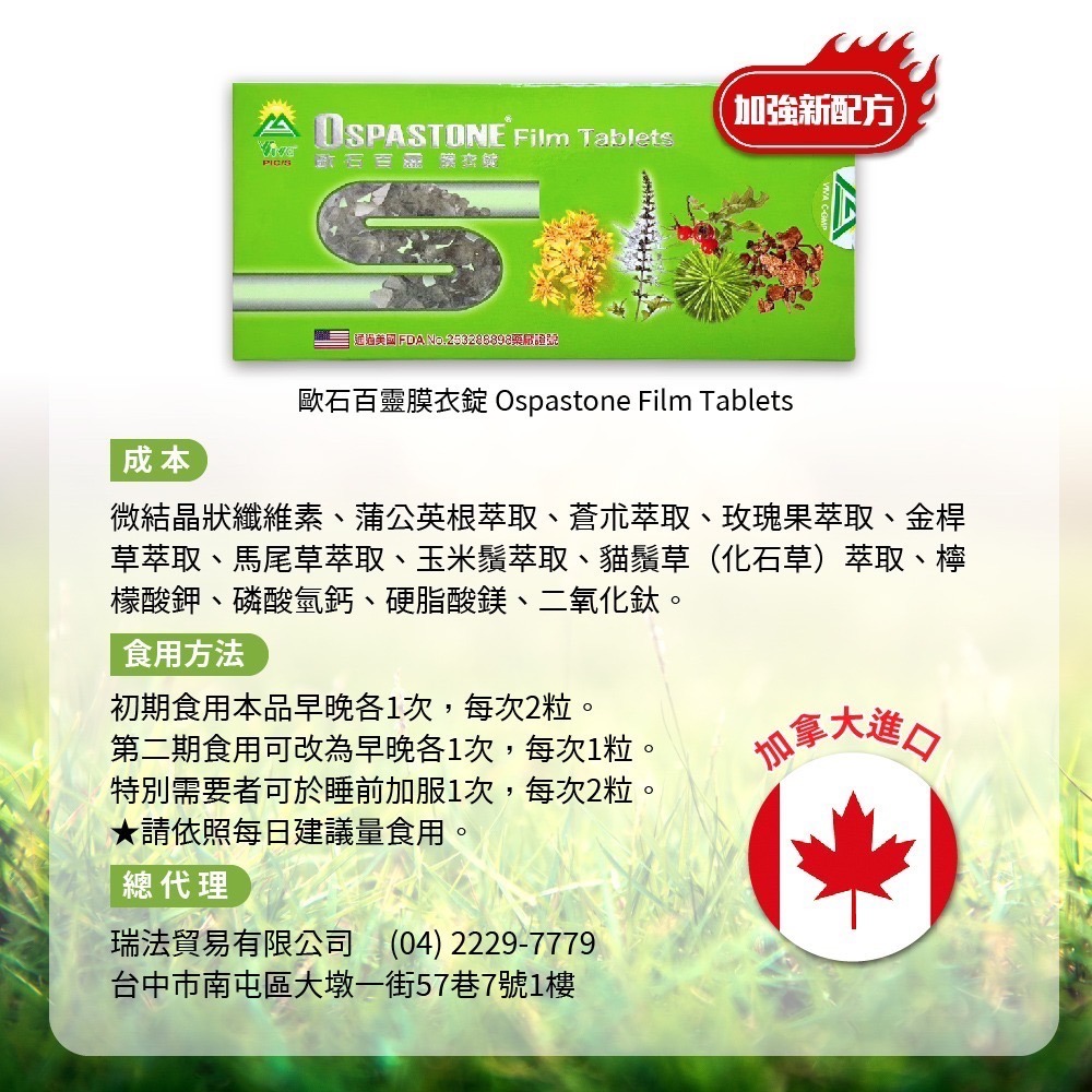 歐石百靈 膜衣錠 100顆 歐石 百靈 加拿大進口 歐石百靈 ospastone-細節圖6