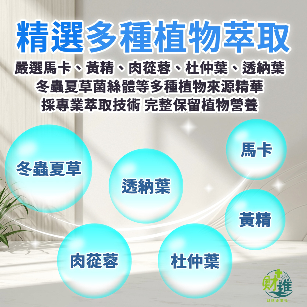 葡眾 扶百生膠囊 扶百生 馬卡 黃精 杜仲葉 管花肉蓯蓉 葡眾扶百生 葡萄王 葡萄王生技 保健食品 100粒-細節圖5