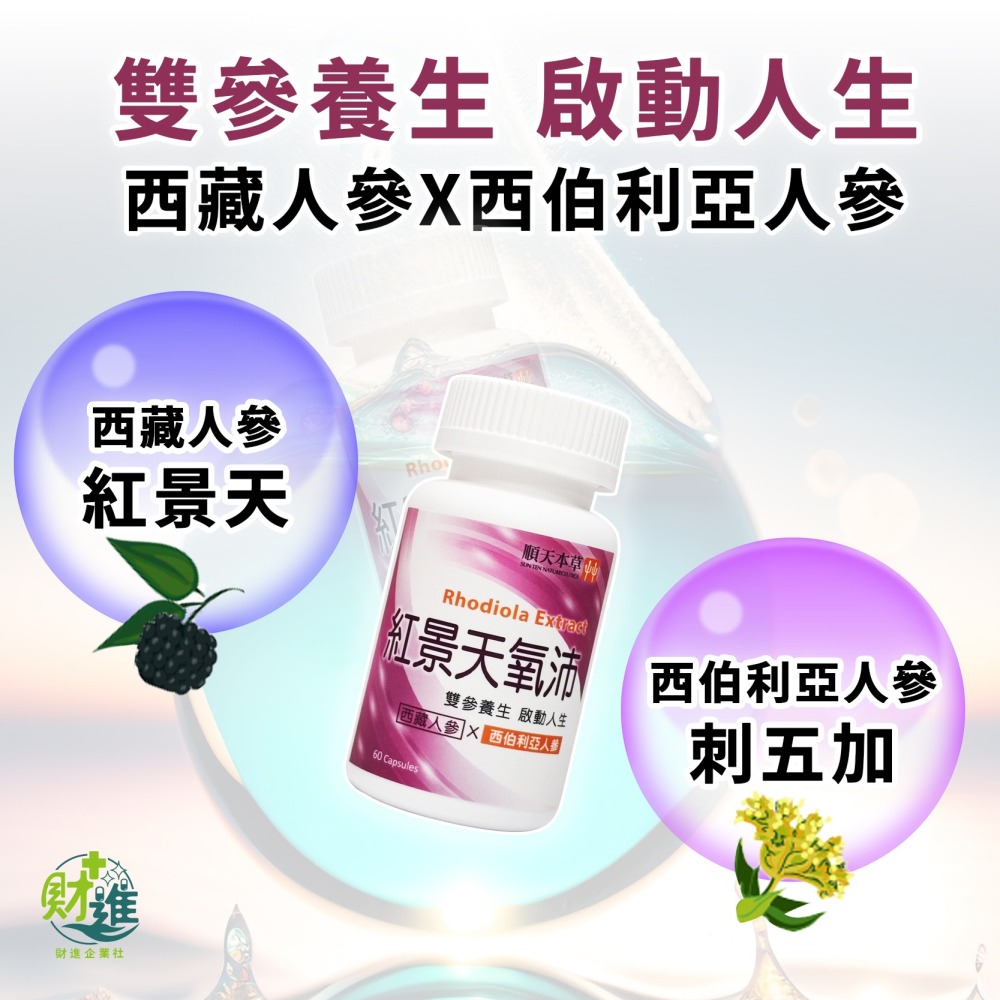 紅景天氧沛膠囊 紅景天 順天堂 60顆 順天本草 紅景天膠囊 紅景天氧沛-細節圖6