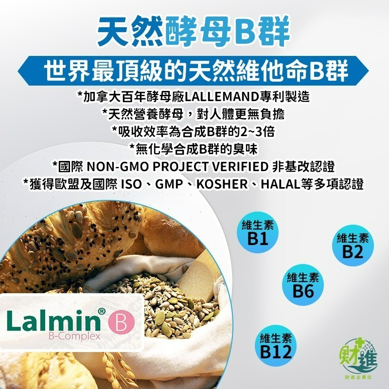 九五之丹 猛虎酵母B群+酵母鋅綜合維他命 b群 膠囊 維生素B12 b群 + 鋅 維生素b群 九五之丹-細節圖3